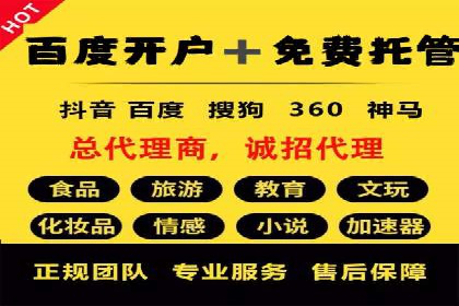 SEM搜索引擎优化：广告创意的策划与执行